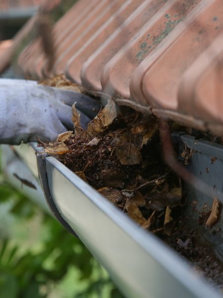 How Professional Pressure Washing Can Boost Your Property’s Street Appeal